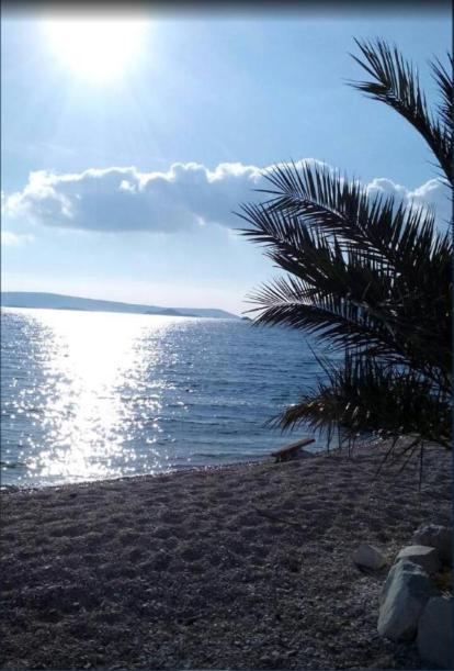 Apartamento Domenico - 50 M From The Sea Donji Seget Exterior foto